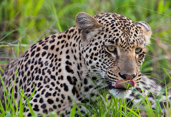 tour operator zanzibar