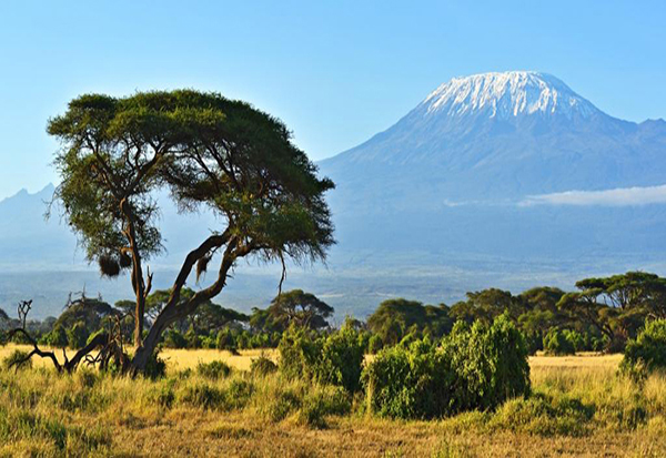 tour operator zanzibar