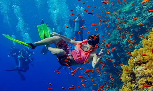 Snorkeling Trip